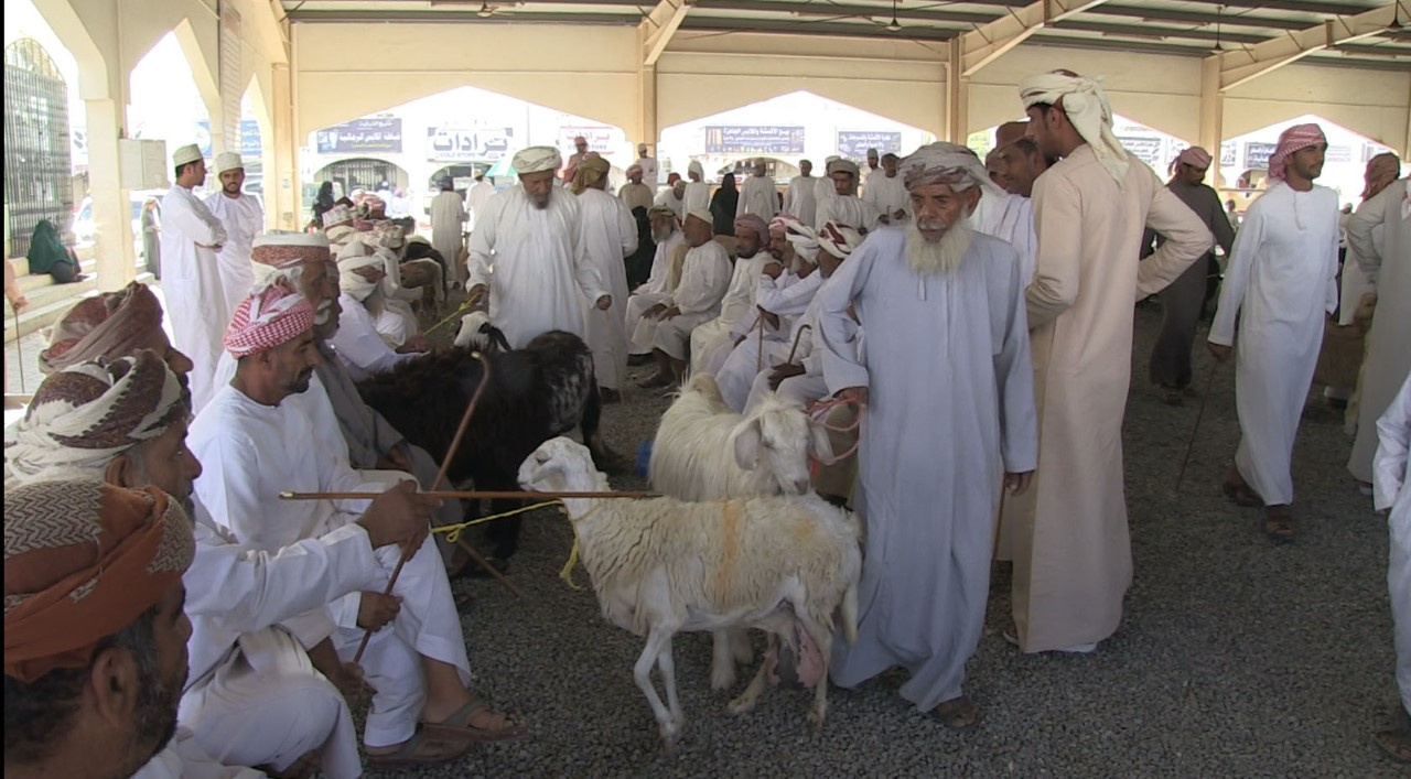 انطلاق هبطات عيد الفطر من المضيبي
