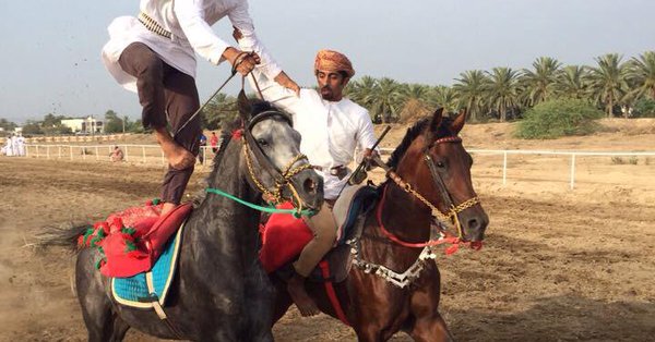 بالفيديو : الخيول العربية الأصيلة تستعرض في “عرضة الخيل التقليدية” بولاية بهلاء