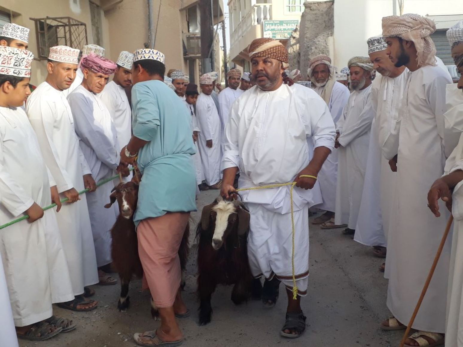أسعار الأغنام تتراوح بين 60 و 300 ريال في أولى هبطات وادي المعاول