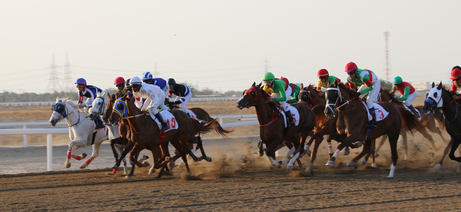 نادي سباق الخيل السلطاني ينظم “سباق الخيل الرابع” بمضمار الرحبة ببركاء