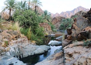 وادي “الحاجر” بولاية الرستاق.. وجهة سياحية تمتاز بانسجام الجبل والوادي والخضرة وزرقة السماء