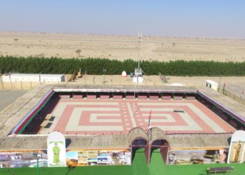غدًا … انطلاق مهرجان حمراء الدروع لمزاينة الإبل بولاية عبري