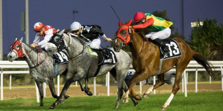 الخيالة السلطانية تحقق فوزين على مضمار نادي أبوظبي للفروسية