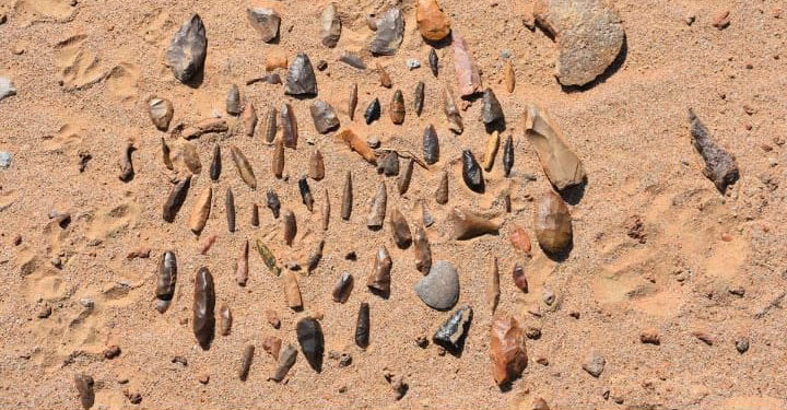 بدء المسوحات الجيولوجية والأثرية بولاية المزيونة