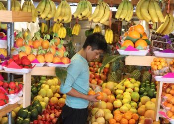 علماء يكشفون عن حمية غذائية “مثالية” لصحة البشر والكوكب
