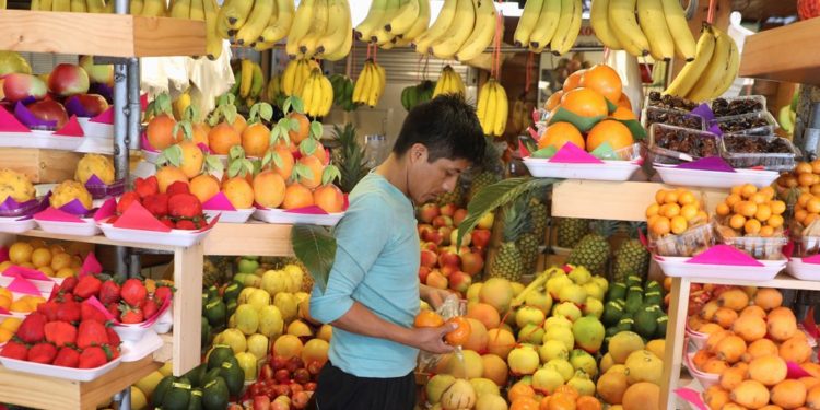 علماء يكشفون عن حمية غذائية “مثالية” لصحة البشر والكوكب