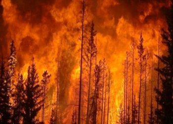 إخلاء أكثر من 100 منزل جراء حريق غابات هائل دمر منازل في ساوث آيلاند بنيوزيلندا