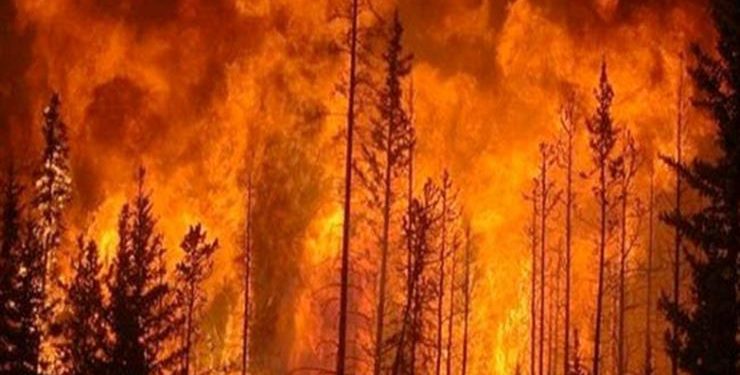 إخلاء أكثر من 100 منزل جراء حريق غابات هائل دمر منازل في ساوث آيلاند بنيوزيلندا