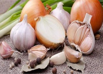 دراسة: الثوم والبصل يقللان خطر سرطان القولون