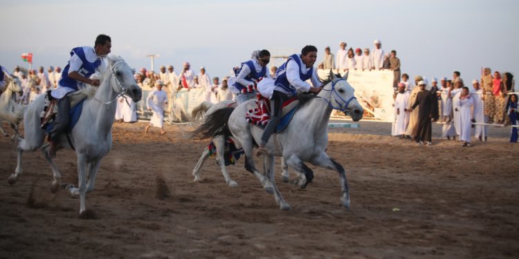 مهرجان الخيل بالكامل والوافي يشهد مشاركة “80” فارسًا