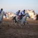 مهرجان الخيل بالكامل والوافي يشهد مشاركة “80” فارسًا