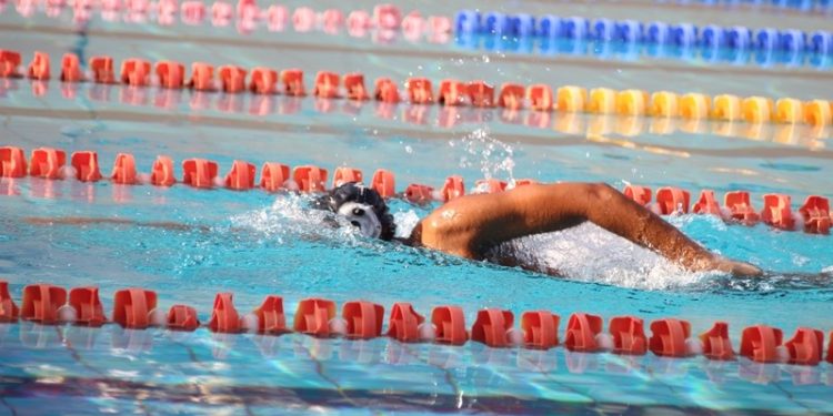 التقنية العليا بطلاً لبطولة مؤسسات التعليم العالي للسباحة