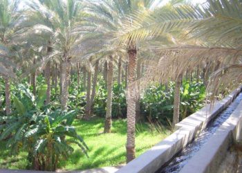نشرة الأحوال الجوية