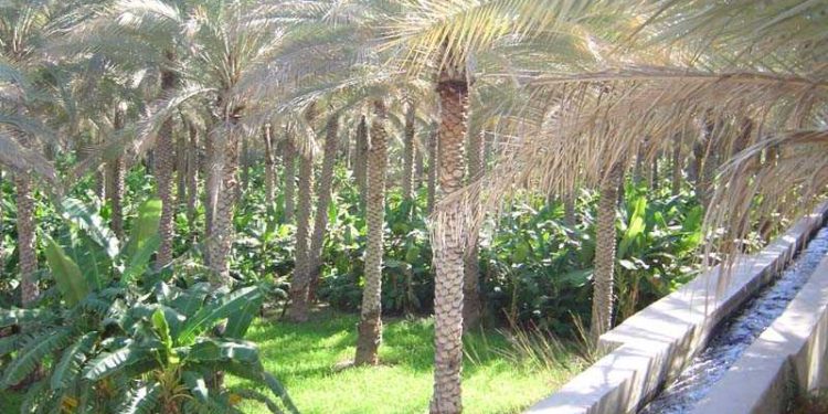 نشرة الأحوال الجوية
