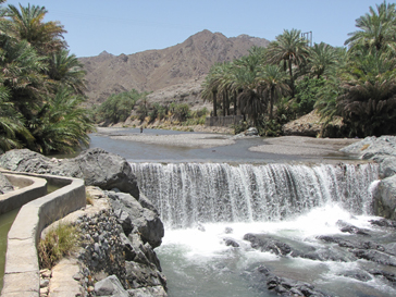 نشرة الأحوال الجوية