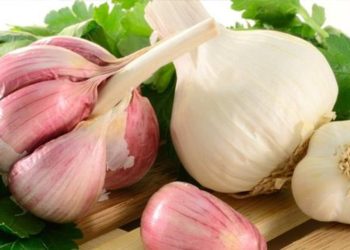 تناول الثوم النيء قد يساعد في منع فقدان الذاكرة المرتبط بتقدم العمر