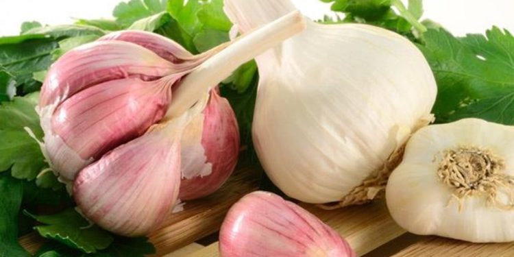 تناول الثوم النيء قد يساعد في منع فقدان الذاكرة المرتبط بتقدم العمر