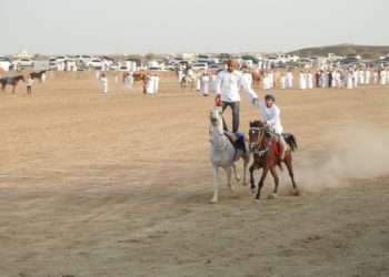 مهرجان الخيل بنيابة سناو