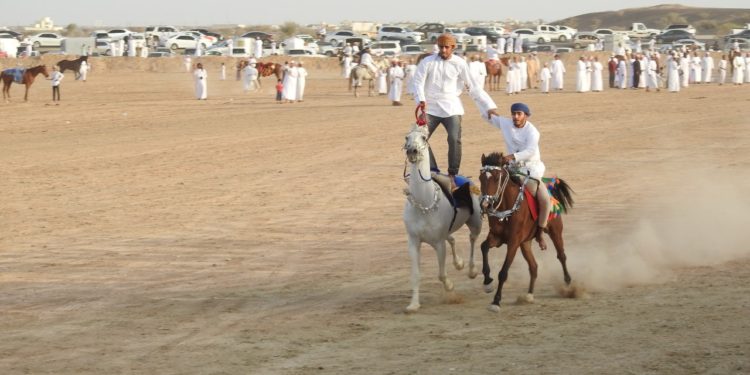 مهرجان الخيل بنيابة سناو