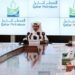 الأضخم بتاريخ صناعة الغاز.. قطر تطلق برنامجا لبناء عشرات ناقلات المسال