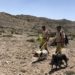 العثور على الأسترالي المفقود مفارقًا للحياة