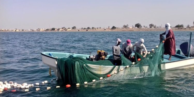 ضبط وافدين يمارسون الصيد بشباك التحويط