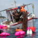 غواصون ينتشلون طنين من شباك الصيد المهملة من قاع البحر في اليونان