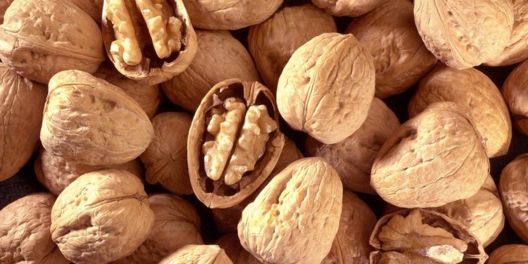 دراسة أمريكية تؤكد أن الجوز يخفض ضغط الدم
