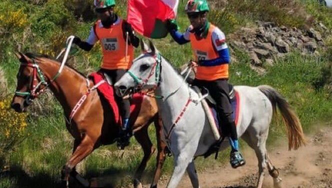 الخيالة السلطانية تفوز بسباق كاستروس الفرنسي للقدرة