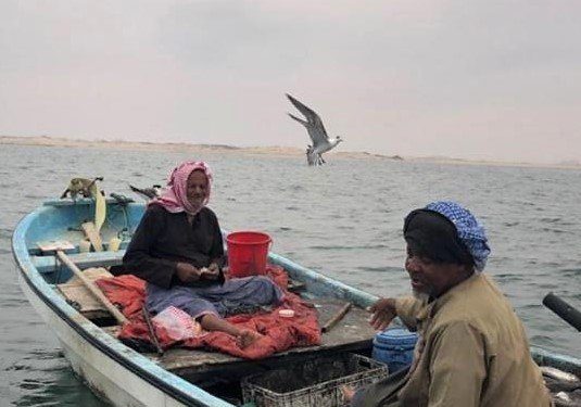 12 نوع للروبيان في مياه السلطنة