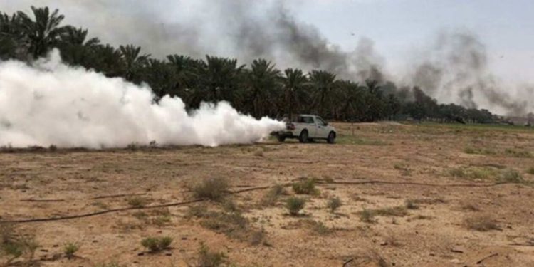 الزراعة تنوه لقيامها بعمليات الرش لمكافحة الجراد الصحراوي
