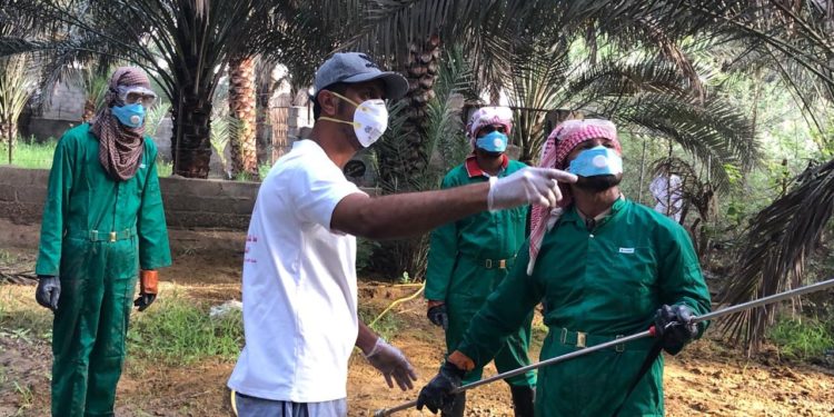 مكافحة دوباس النخيل في قرى ولاية جعلان بني بوحسن
