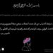 مبادرة شبابية لمحاكاة خط القائد الراحل طيب الله ثراه