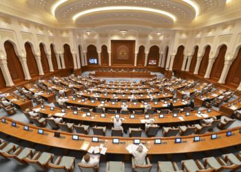 مجلس الدولة يناقش قانون حماية البيانات الشخصية