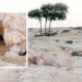 ظاهرة طبيعية في صحراء جدة الحراسيس