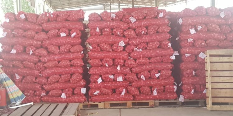 توفير أكثر من 2000 طن من البصل.. ودفعة في الطريق