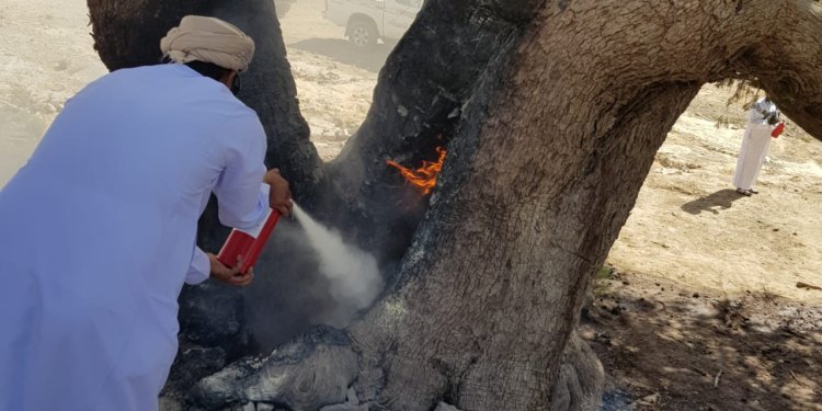 رئيس هيئة البيئة: حرق الأشجار البرية يعد انتهاكاً للحياة الفطرية ويجب اتخاذ تدابير وقائية وتشريعية لهذه التجاوزات