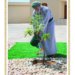 بيديه الكريمتين.. جلالة السلطان المعظم يغرس شجرة اللبان