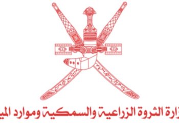 الإعلان عن فتـح سوق الميناء