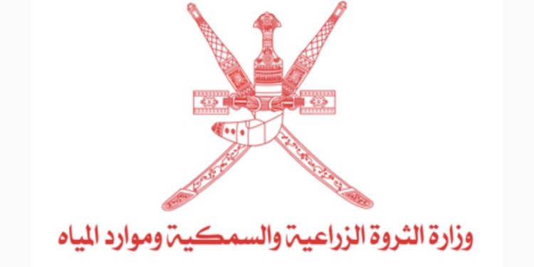 الإعلان عن فتـح سوق الميناء