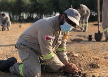 ضمن المبادرة الوطنية لزراعة 10 ملايين شجرة برية.. زراعة 1500 شجرة