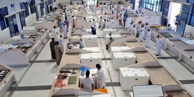 أكثر من 388.3 ألف طن إجمالي الأسماك المنزلة بالصيد الحرفي بالسلطنة بنهاية يوليو الماضي