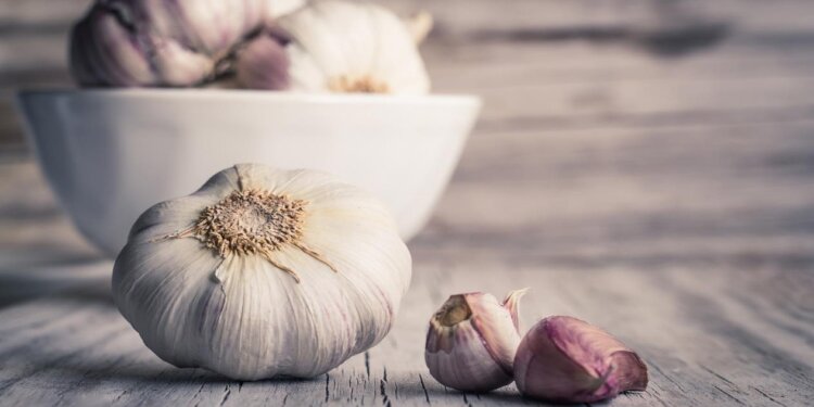 5 أسباب تجعلك تأكل الثوم يوميا