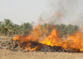 حرق المخلفات وتطاير الأدخنة.. ظاهرة لا تليق بمحافظة مسقط والبلدية لاتزال تناشد المجتمع للتعاون