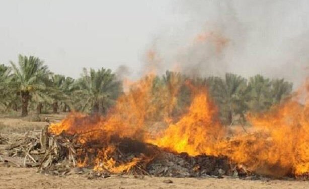 حرق المخلفات وتطاير الأدخنة.. ظاهرة لا تليق بمحافظة مسقط والبلدية لاتزال تناشد المجتمع للتعاون