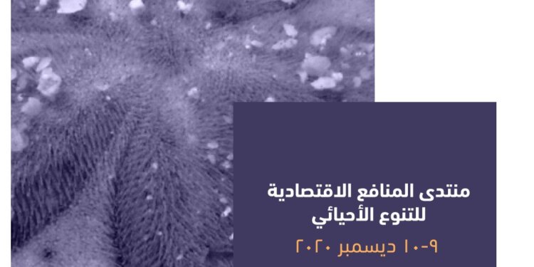 اكتمال الاستعدادات لانطلاق منتدى المنافع الاقتصادية للتنوع الأحيائي
