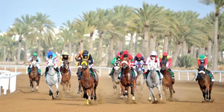مضمار الرحبة يشهد غدًا سباق الخيل السادس