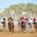 مضمار الرحبة يشهد غدًا سباق الخيل السادس