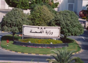 حلقة عمل تدريبية لاحتساب وتحليل بيانات عبء المراضة باستخدام طرق وأدوات التقنية الحديثة  والمعتمدة من منظمة الصحة العالمية