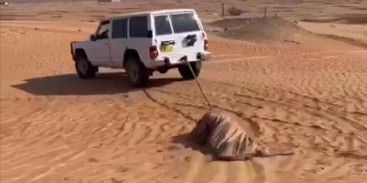 استخدم مركبته لغير الغرض المخصص لها.. والشرطة تستوقفه